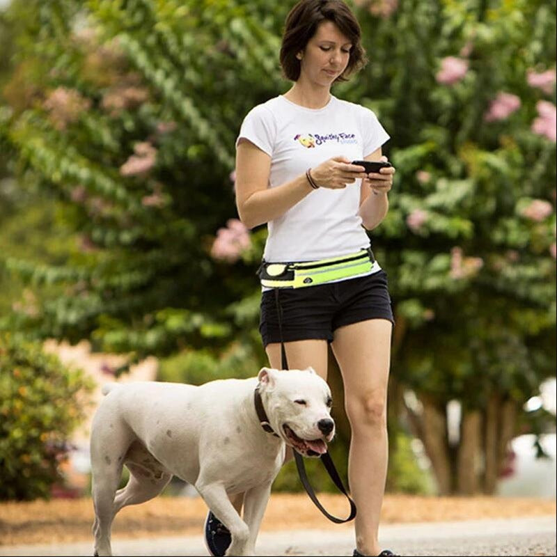 Exciting Hands Free Jogging Dog Leash With Bottle Holder Compartment - Waggy Doggy Deals