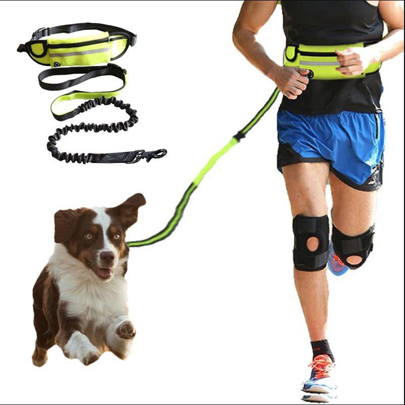 Exciting Hands Free Jogging Dog Leash With Bottle Holder Compartment - Waggy Doggy Deals