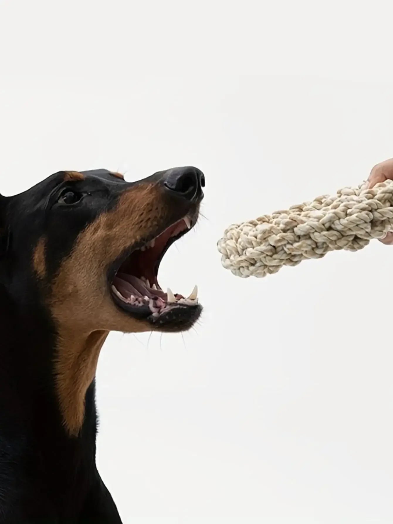Durable Dog Rope Toy - Waggy Doggy Deals