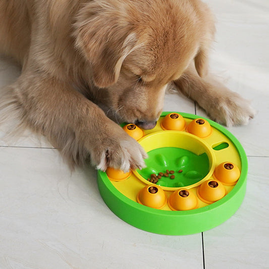 Amazing Dog Puzzle Interactive Food Dispenser - Waggy Doggy Deals