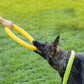 Extremely Tough Chewy Dog Tension Ring - Waggy Doggy Deals