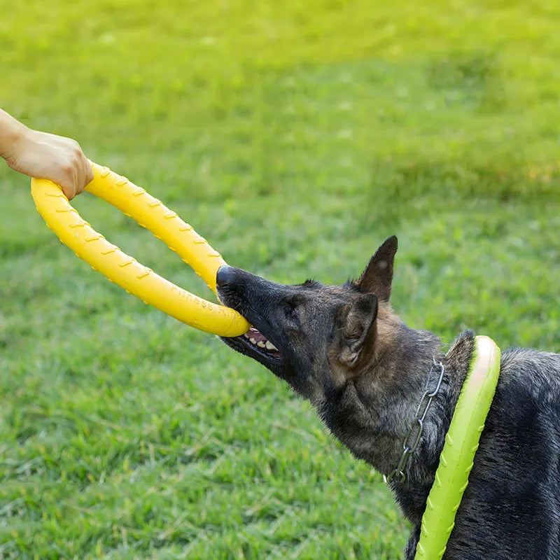 Extremely Tough Chewy Dog Tension Ring - Waggy Doggy Deals