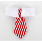 Smart Dog White Collar and Tie - Waggy Doggy Deals