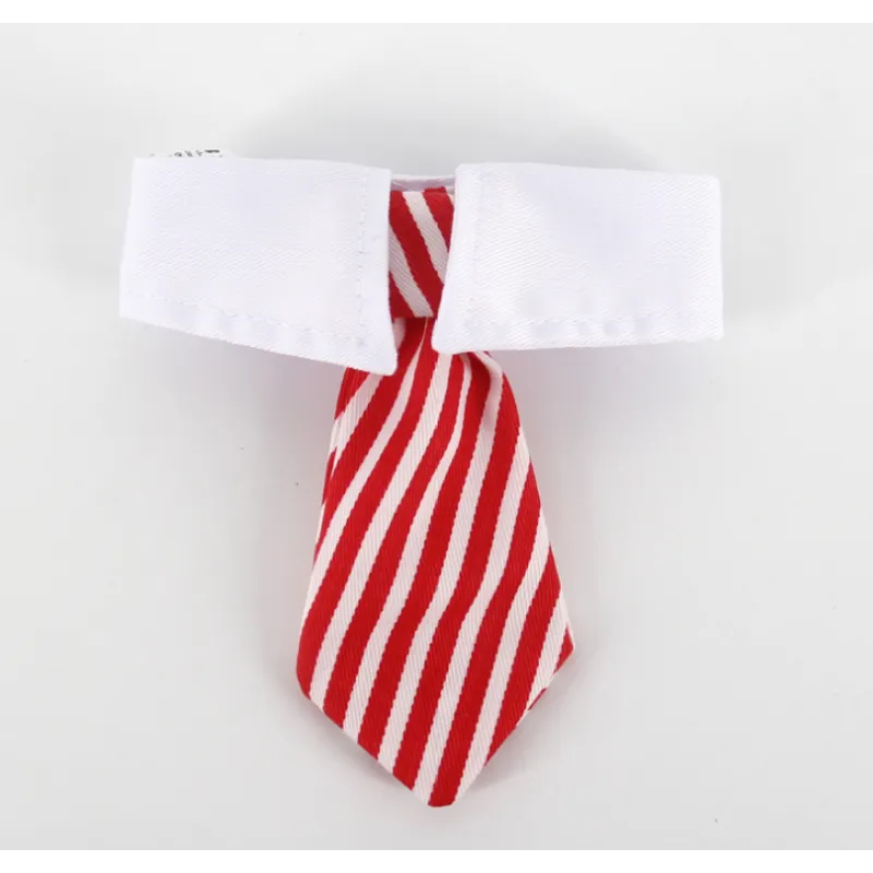 Smart Dog White Collar and Tie - Waggy Doggy Deals
