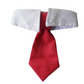 Smart Dog White Collar and Tie - Waggy Doggy Deals