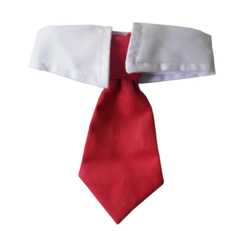 Smart Dog White Collar and Tie - Waggy Doggy Deals