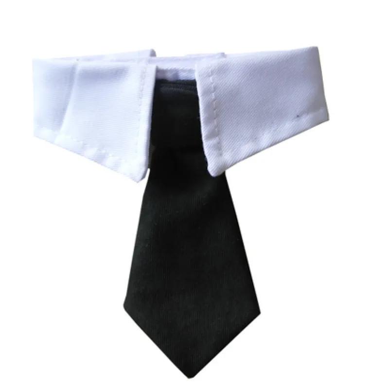 Smart Dog White Collar and Tie - Waggy Doggy Deals
