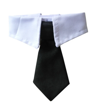 Smart Dog White Collar and Tie - Waggy Doggy Deals