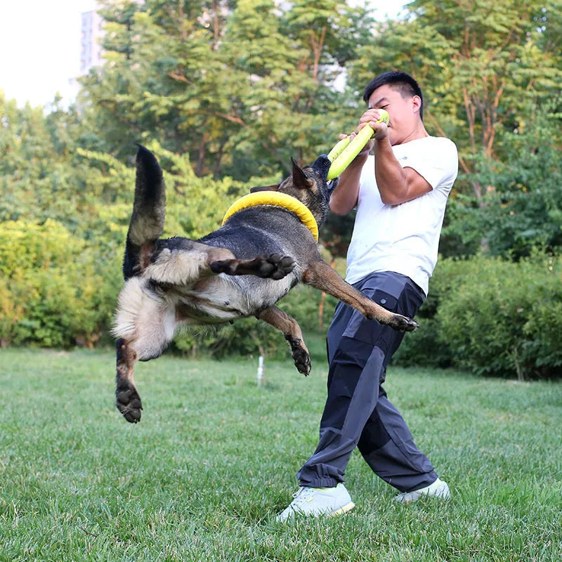 Extremely Tough Chewy Dog Tension Ring - Waggy Doggy Deals
