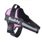 Fantastic Breathable Dog Harness - Waggy Doggy Deals