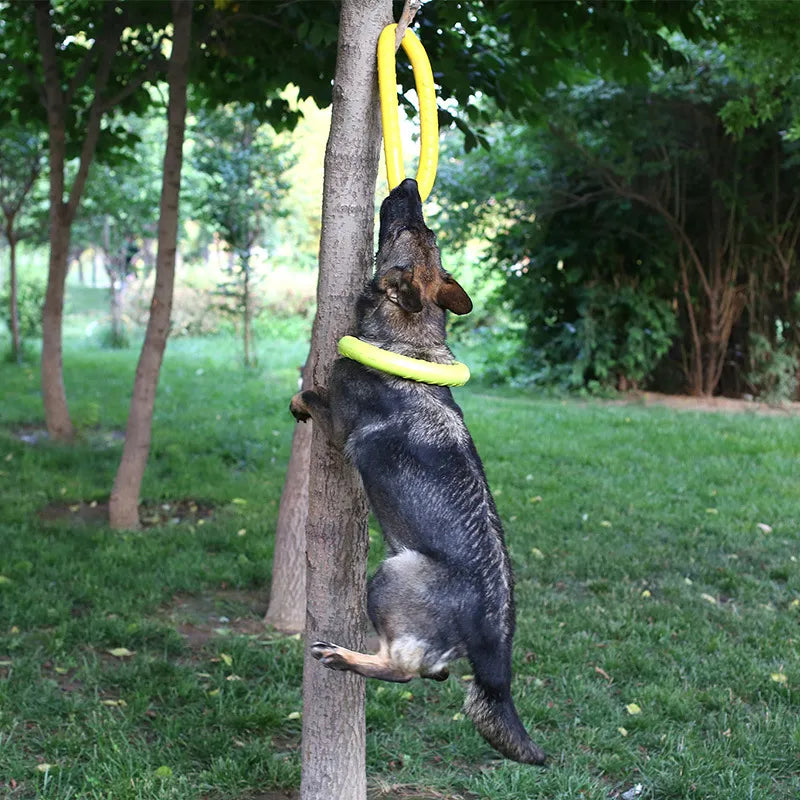 Extremely Tough Chewy Dog Tension Ring - Waggy Doggy Deals
