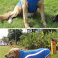 Fantastic Waterproof Dog Coat - Waggy Doggy Deals