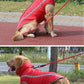 Fantastic Waterproof Dog Coat - Waggy Doggy Deals