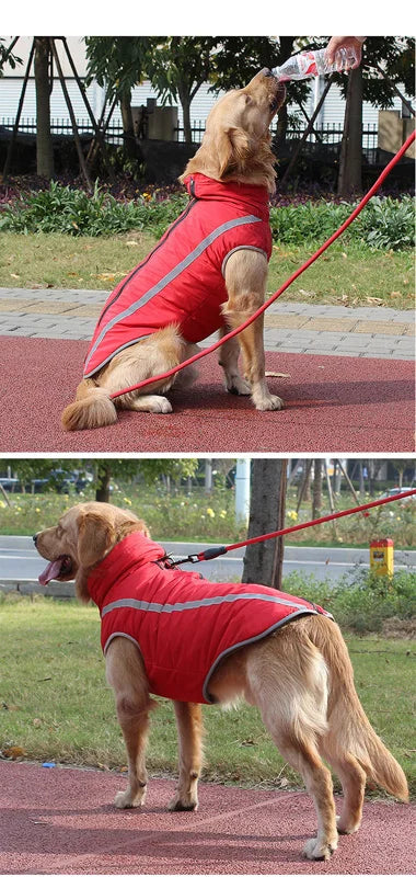 Fantastic Waterproof Dog Coat - Waggy Doggy Deals