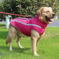 Fantastic Waterproof Dog Coat - Waggy Doggy Deals