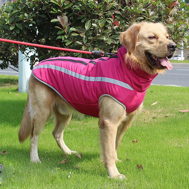 Fantastic Waterproof Dog Coat - Waggy Doggy Deals