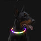 Wonderful Neon Lit Dog Collar - Waggy Doggy Deals