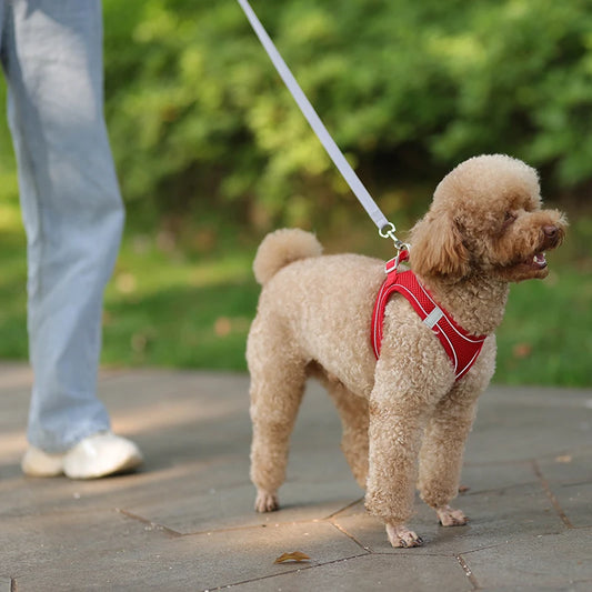 Wonderful Soft and Comfort Dog Harness with Leash - Waggy Doggy Deals