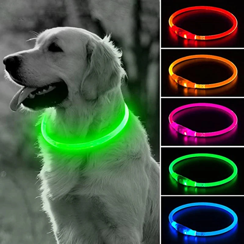 Wonderful Neon Lit Dog Collar - Waggy Doggy Deals