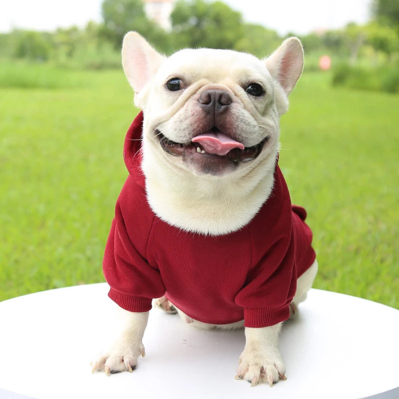 Incredibly Comfortable Dog Hoodie Jumper - Waggy Doggy Deals