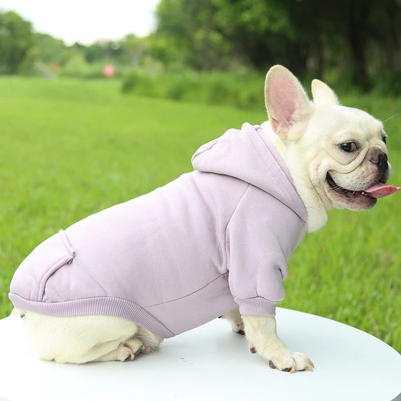 Incredibly Comfortable Dog Hoodie Jumper - Waggy Doggy Deals