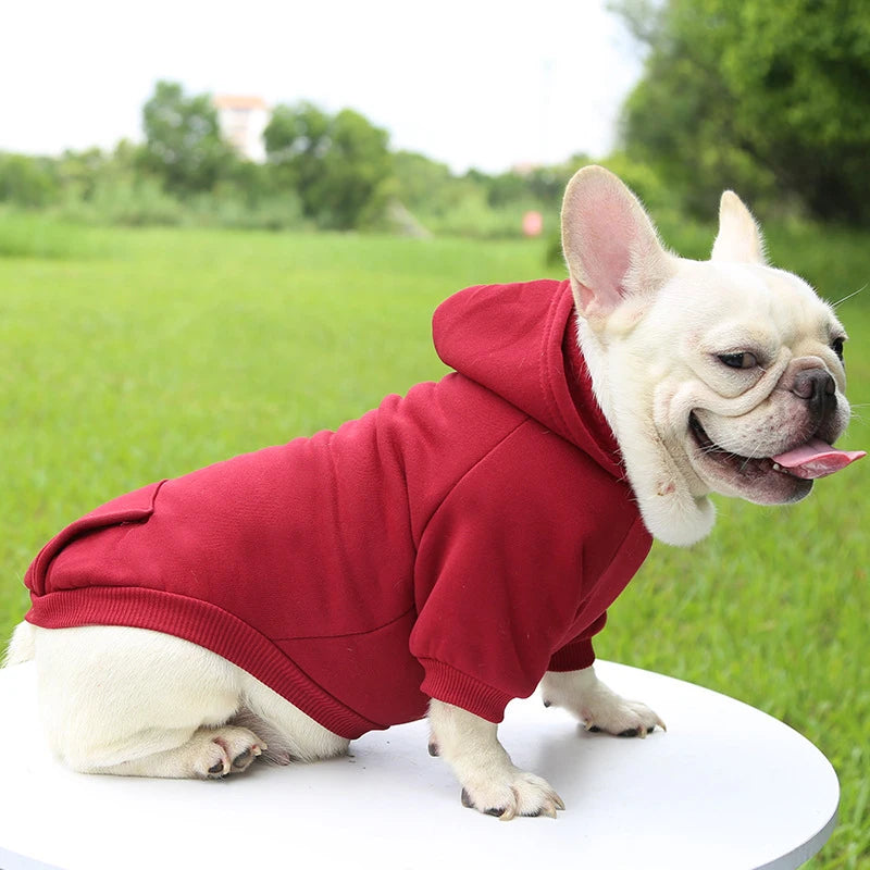 Incredibly Comfortable Dog Hoodie Jumper - Waggy Doggy Deals