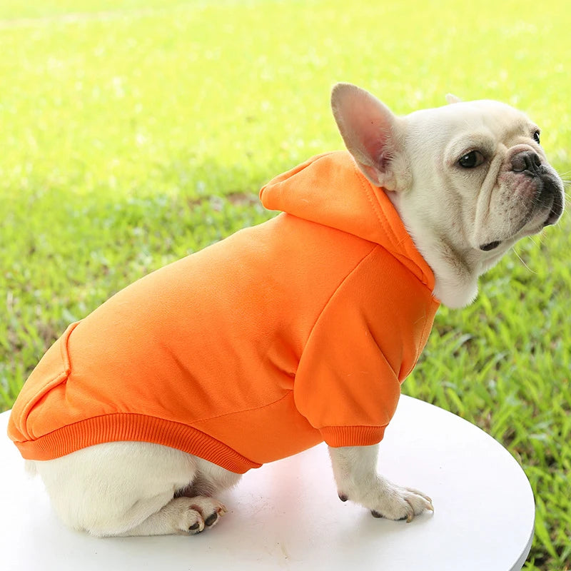 Incredibly Comfortable Dog Hoodie Jumper - Waggy Doggy Deals