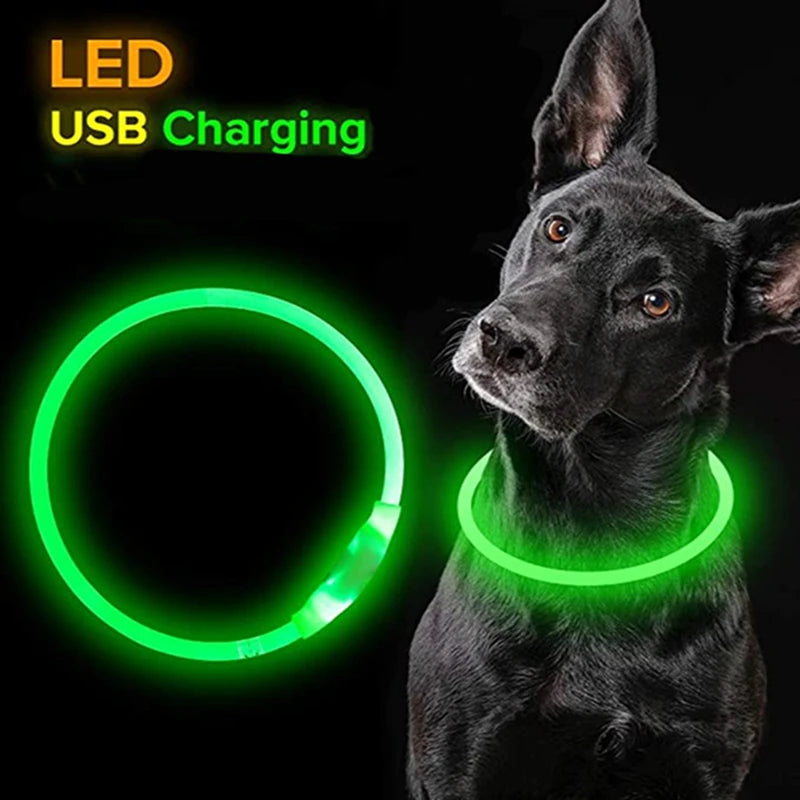 Wonderful Neon Lit Dog Collar - Waggy Doggy Deals