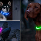 Wonderful Neon Lit Dog Collar - Waggy Doggy Deals