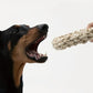 Durable Dog Rope Toy - Waggy Doggy Deals