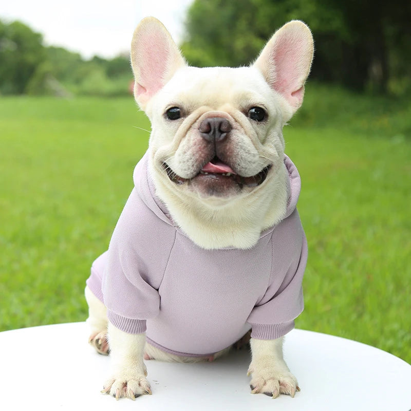 Incredibly Comfortable Dog Hoodie Jumper - Waggy Doggy Deals