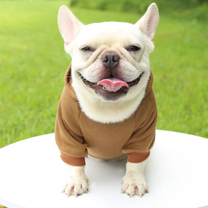 Incredibly Comfortable Dog Hoodie Jumper - Waggy Doggy Deals