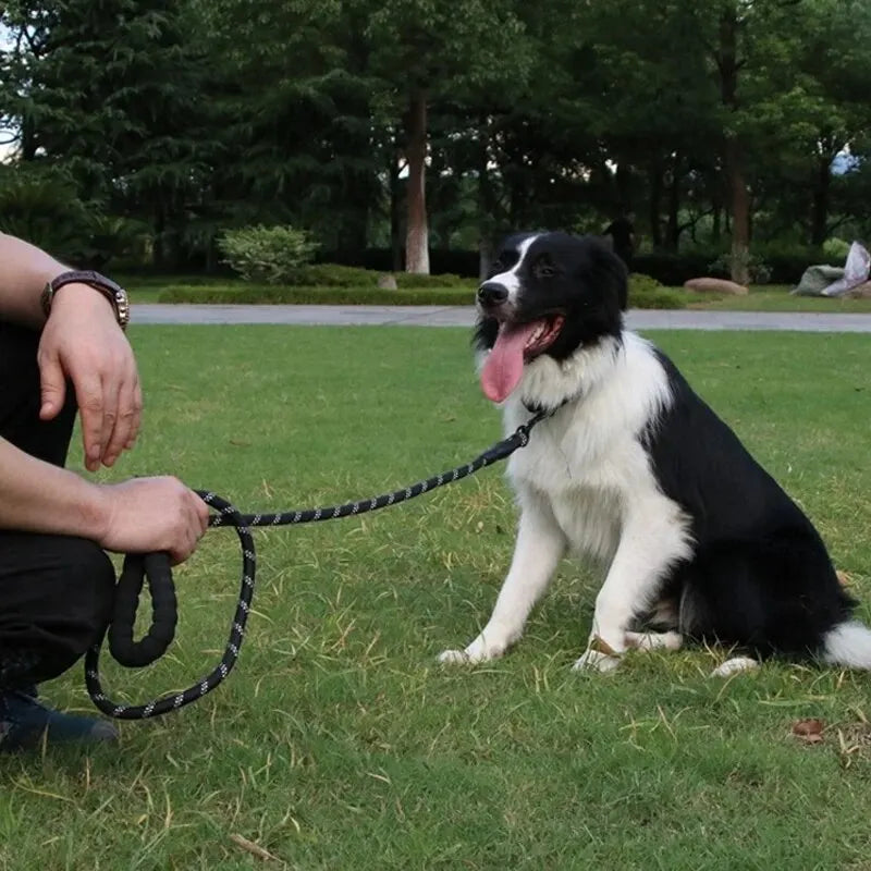 Super Strong Reflective Rope Leash - Waggy Doggy Deals