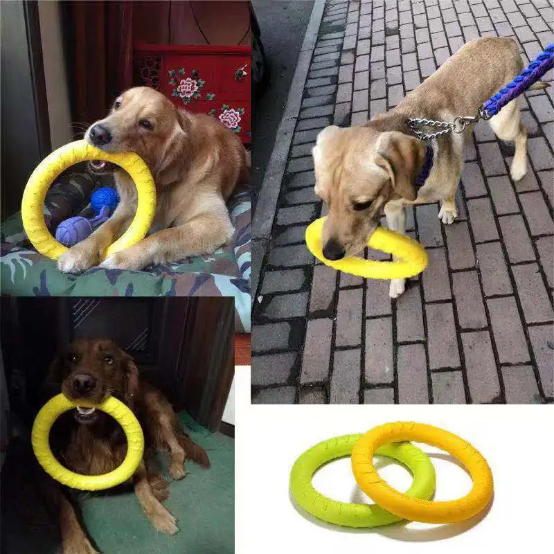 Extremely Tough Chewy Dog Tension Ring - Waggy Doggy Deals