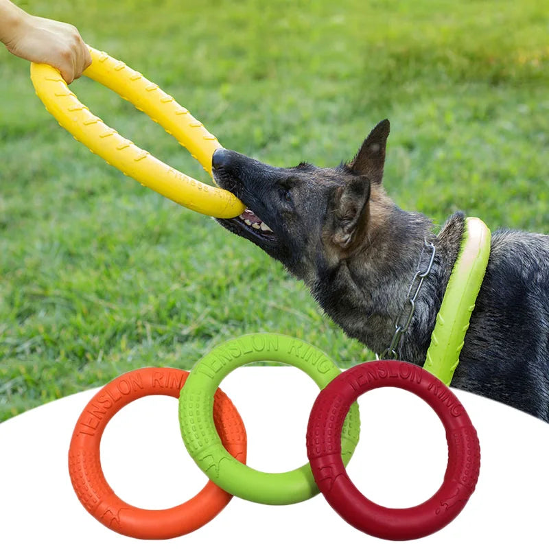 Extremely Tough Chewy Dog Tension Ring - Waggy Doggy Deals