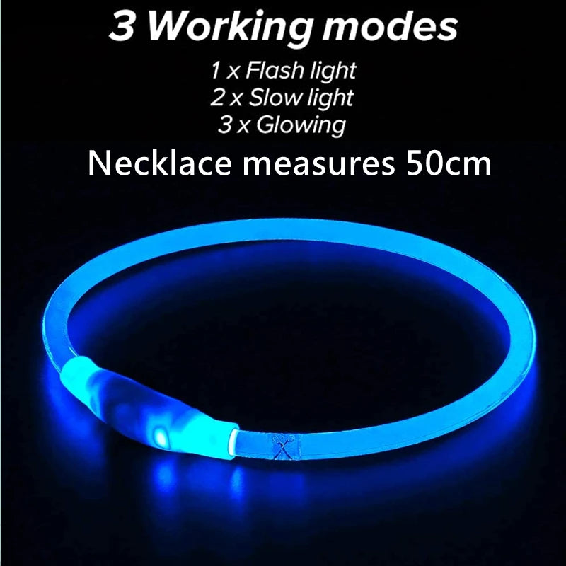 Wonderful Neon Lit Dog Collar - Waggy Doggy Deals