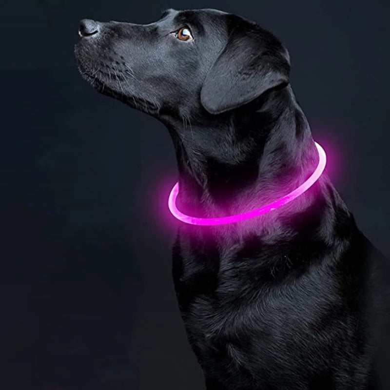 Wonderful Neon Lit Dog Collar - Waggy Doggy Deals