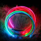 Wonderful Neon Lit Dog Collar - Waggy Doggy Deals