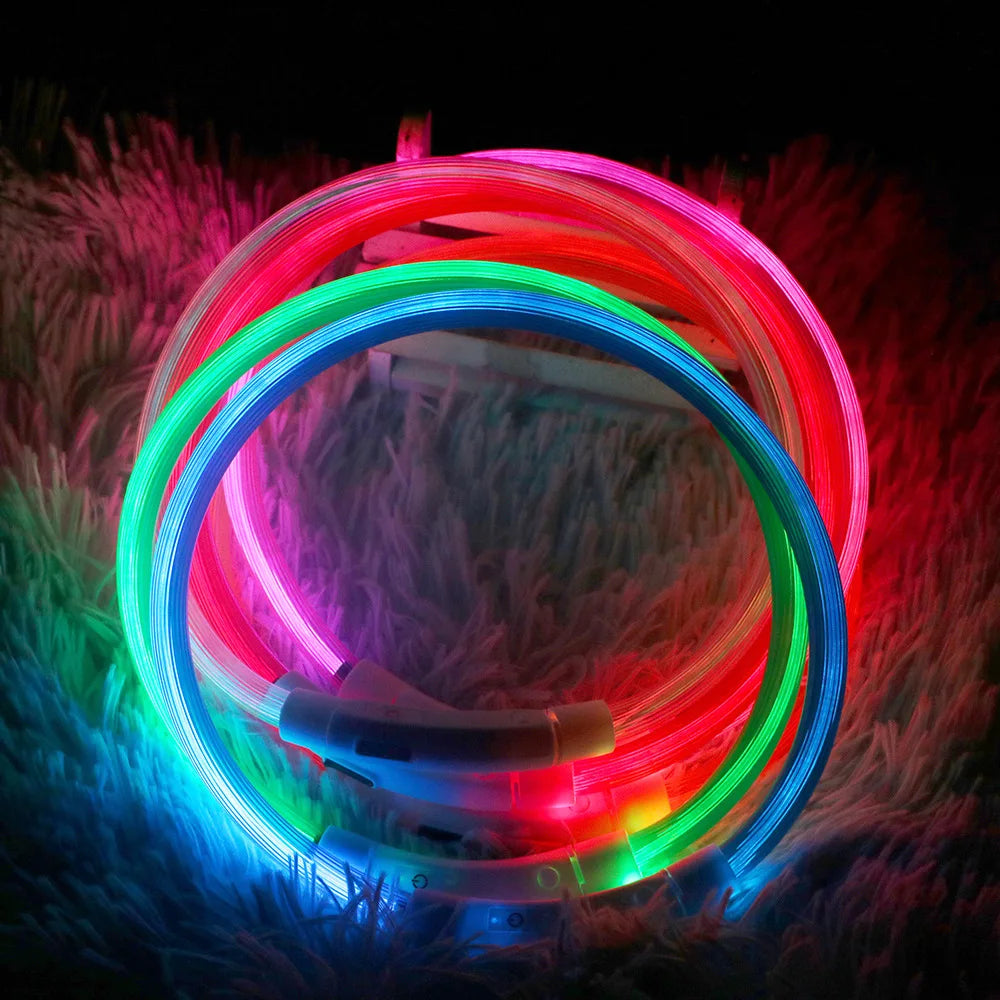 Wonderful Neon Lit Dog Collar - Waggy Doggy Deals